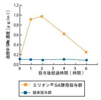 グラフ：エリオン&reg;SA投与により、SAMeが吸収されていることを示している。
